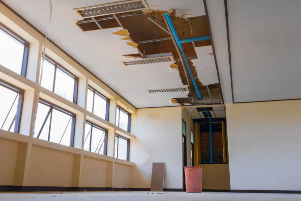 Best 24-hour water damage restoration  in Lockeford, CA