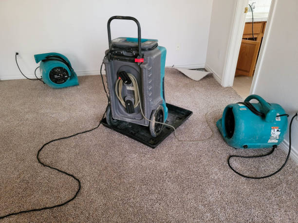 Best Professional water damage repair  in Lockeford, CA