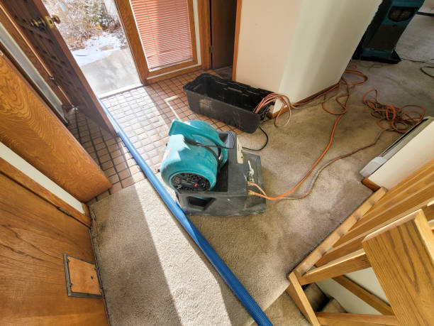 Best Water damage restoration process  in Lockeford, CA