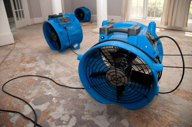 Best Carpet water damage restoration  in Lockeford, CA