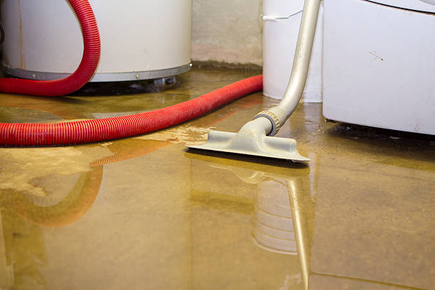 Best Water damage mitigation services  in Lockeford, CA