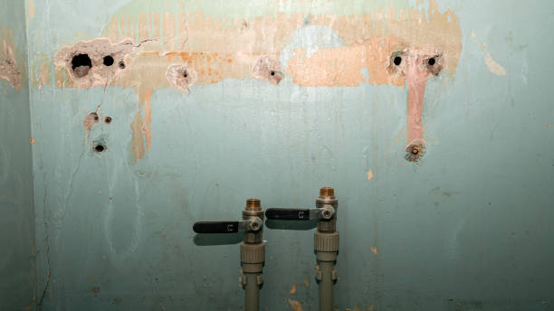 Best Fire Damage Restoration  in Lockeford, CA