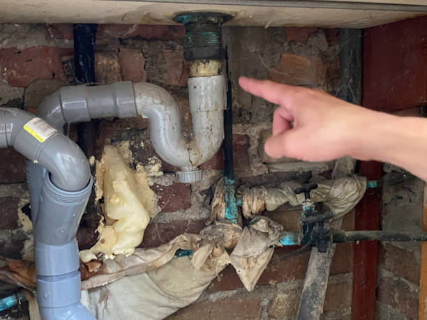Best Carpet water damage restoration  in Lockeford, CA