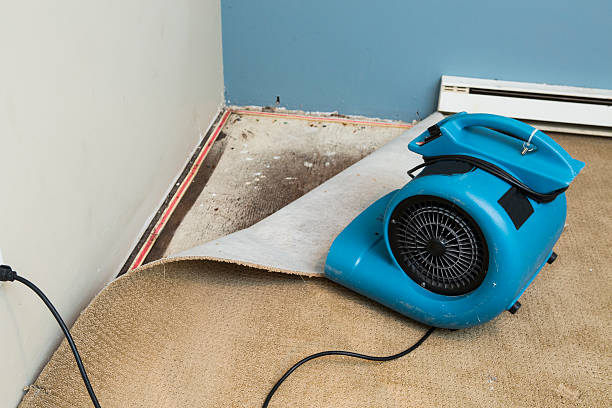 Professional Water damage restoration in Lockeford, CA